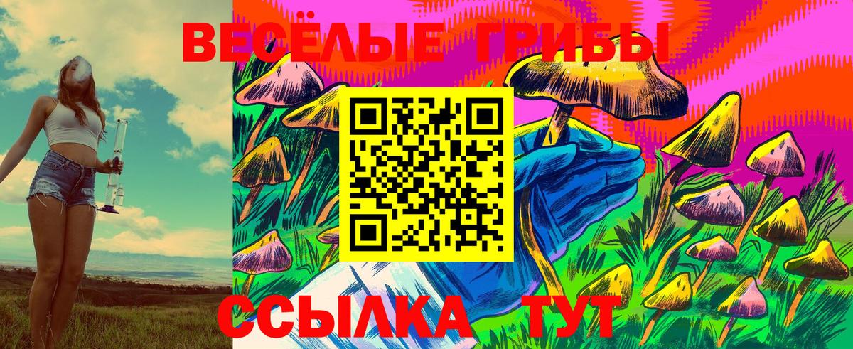 цены наркотик  Вход с VPN  Жигулёвск  Галлюциногенные грибы Psilocybe 